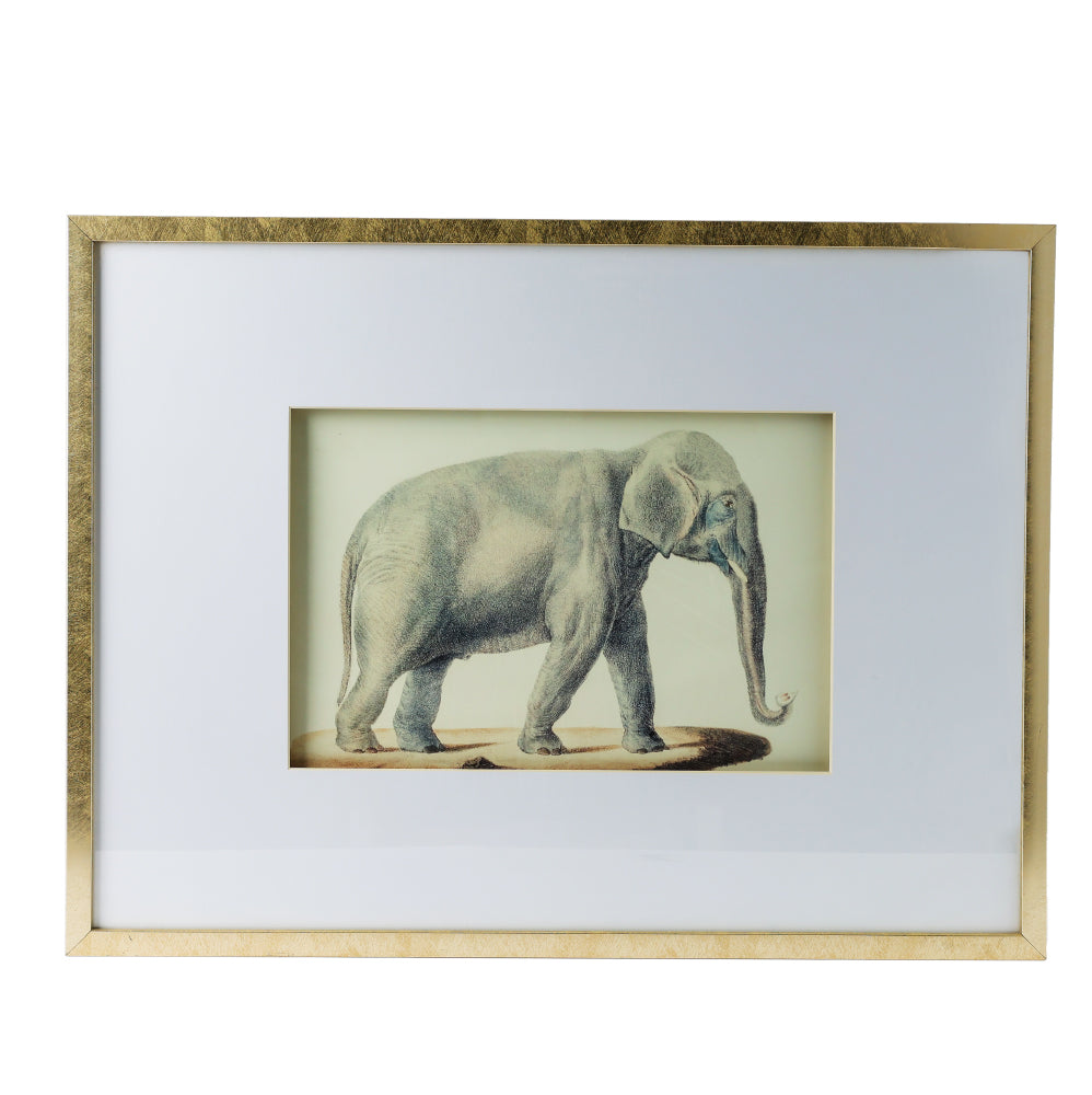 S/2 24X32 Fake Elephant Pencil Drawings