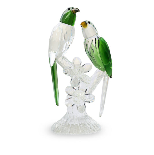 Parrot Elegance Duo Accent, Green